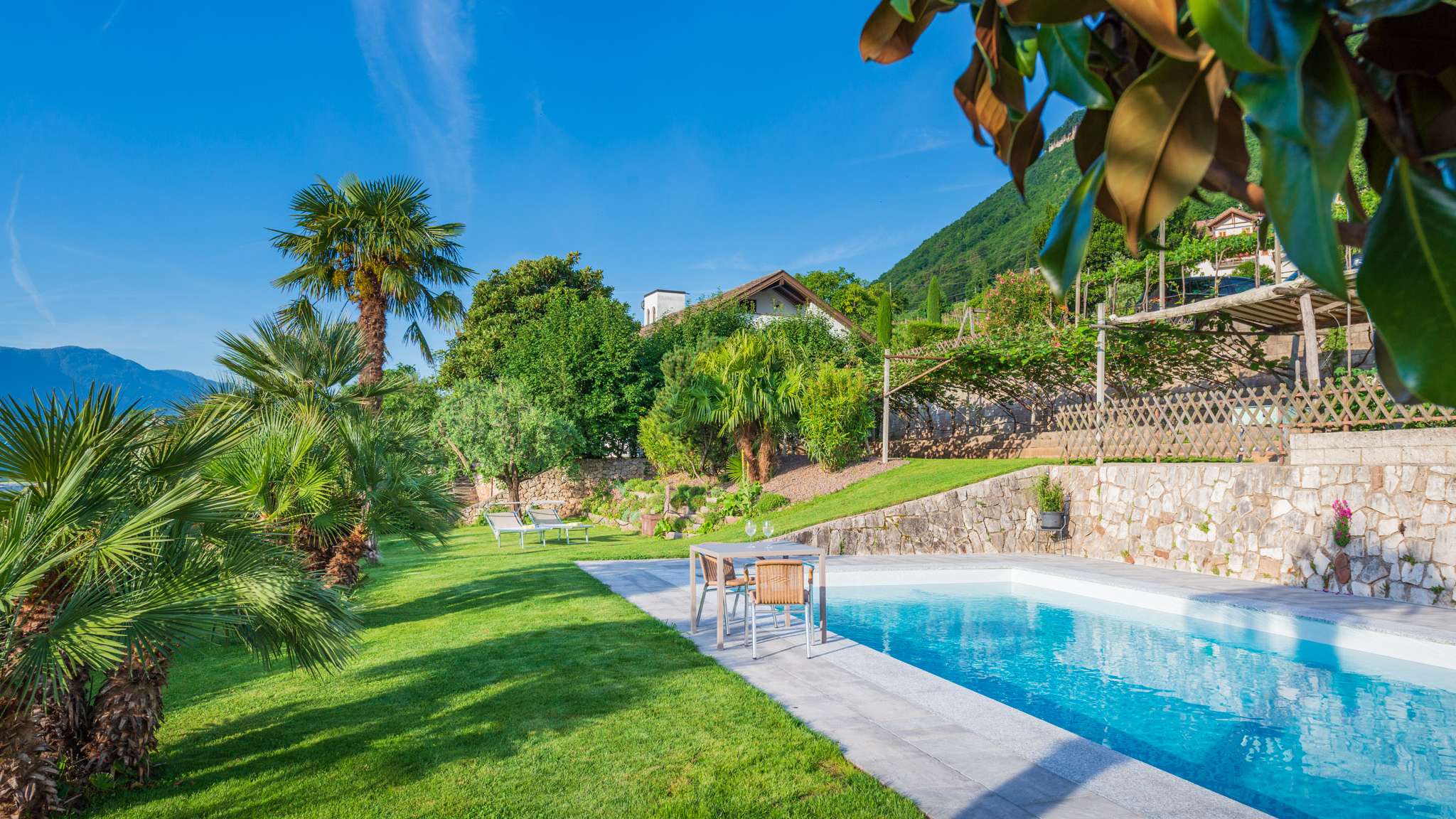 007-20210612_8005866