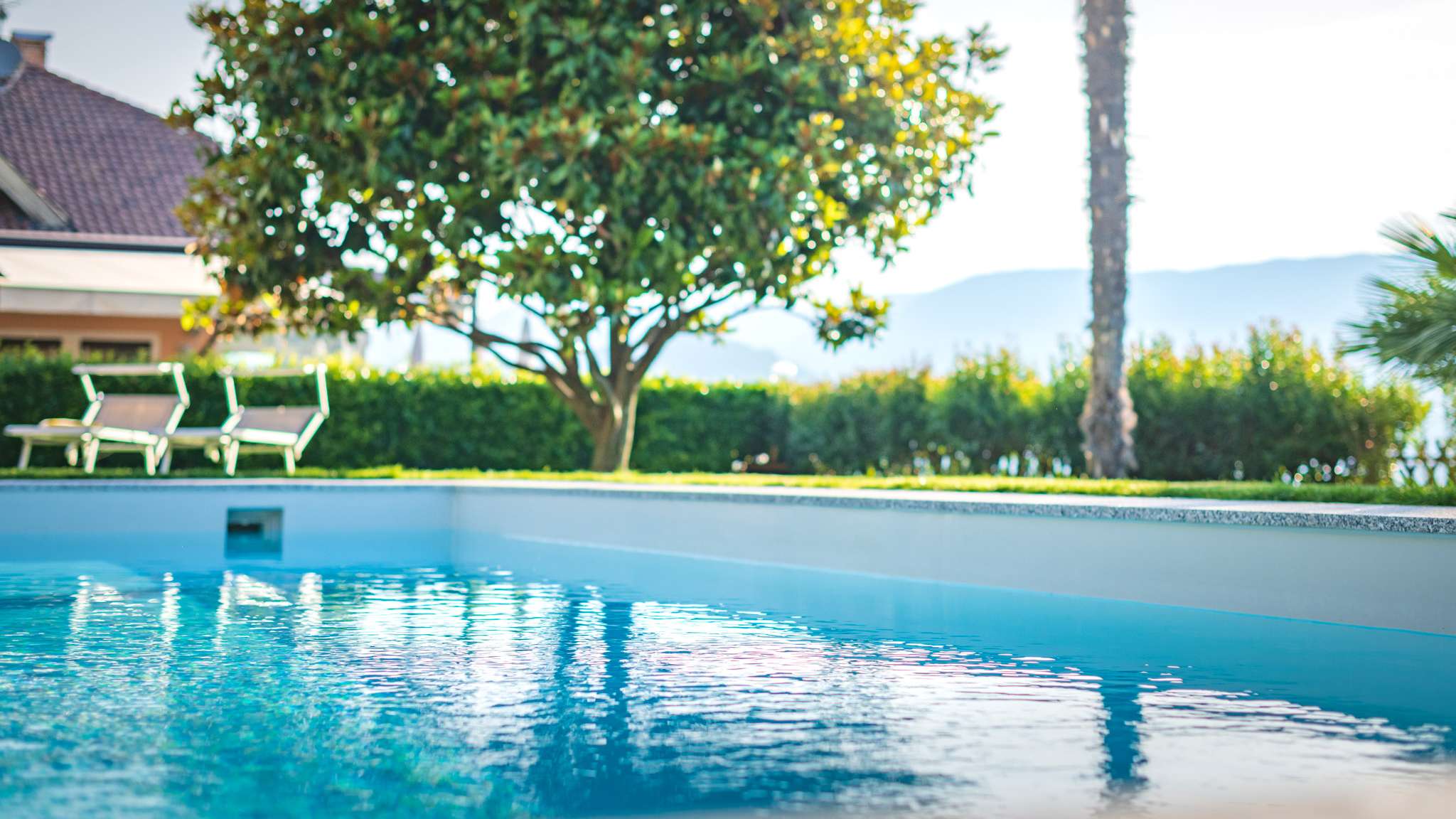 008-20210612_8506201