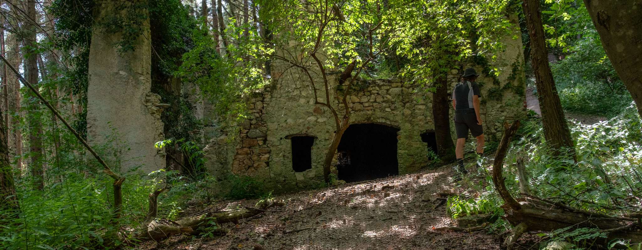 20190815_8501868-HDR