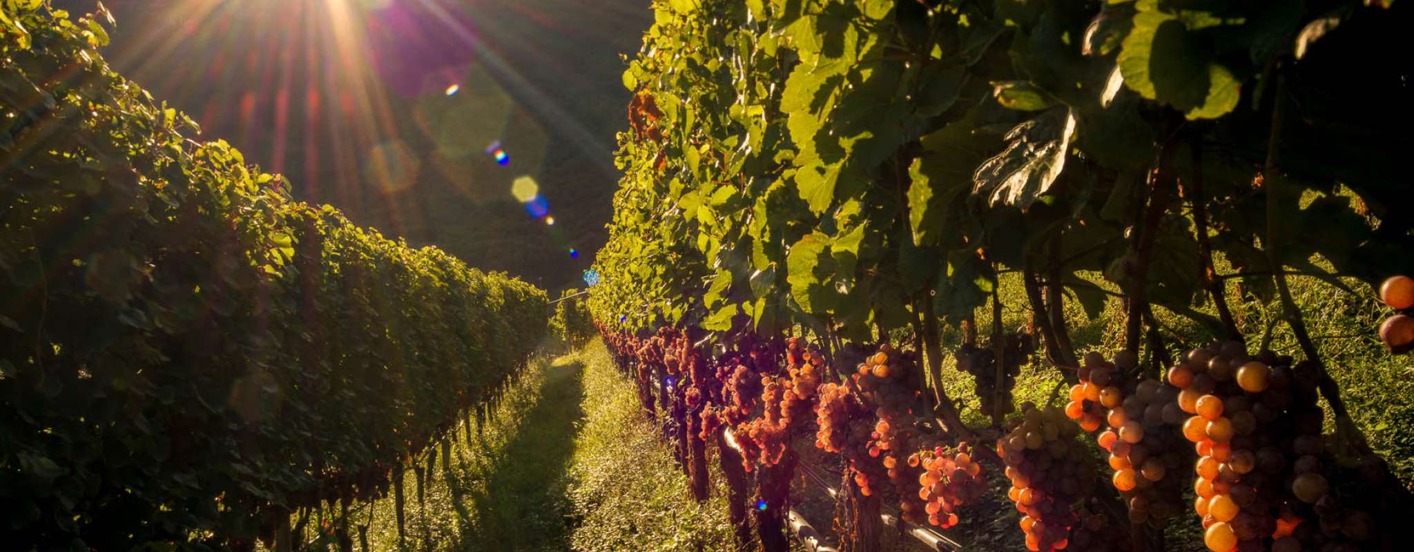 20160922_DSC7044-HDR