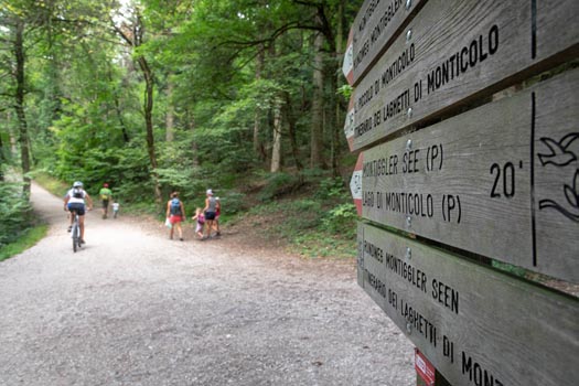 Bozen Montiggler Wald