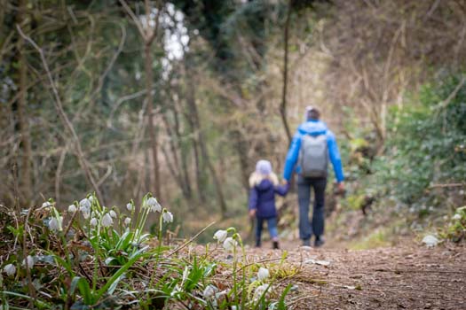 Fruehlingstal Tramin