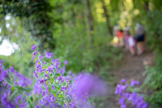Naturerlebisweg Tramin 