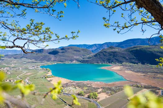 Söll Altenburg Zogglerwiese 